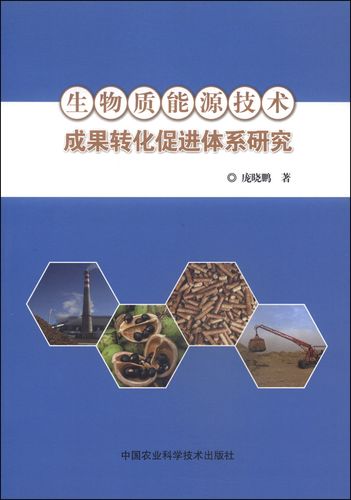 生物质能源技术成果转化促进体系研究9787511612991中国农业科学技术
